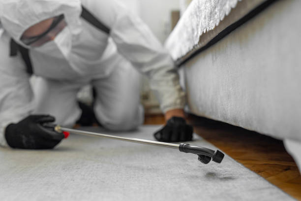Professional Bed Bug Control technician working in Cuyahoga County County, OH
